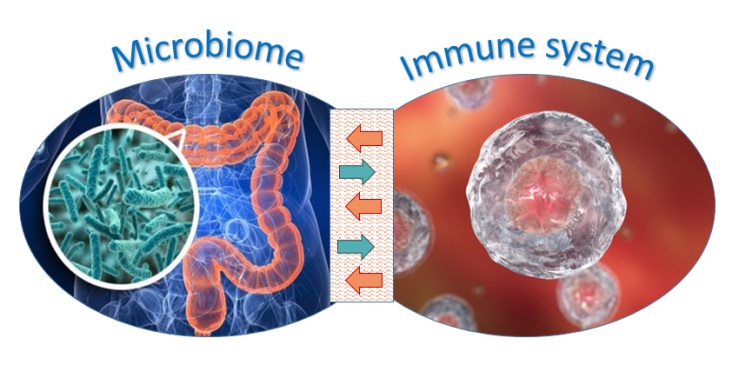 Microb-Immune0
